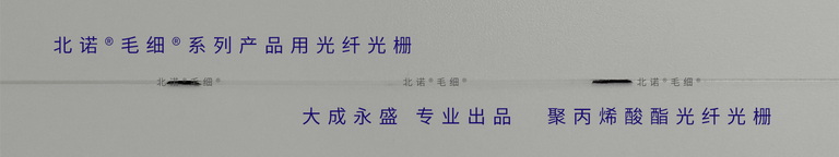 北諾?大量程光纖光柵應(yīng)變傳感器（FBG應(yīng)變計）用普通光纖光柵