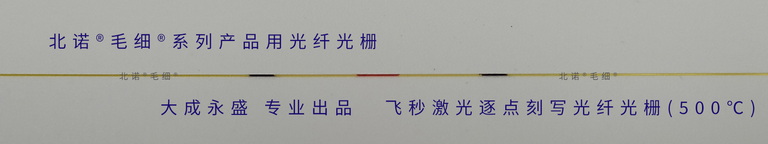 飛秒激光逐點(diǎn)刻寫光纖光柵-配套北諾?毛細(xì)?無縫鋼管光纖光柵溫度，應(yīng)變，應(yīng)力傳感器