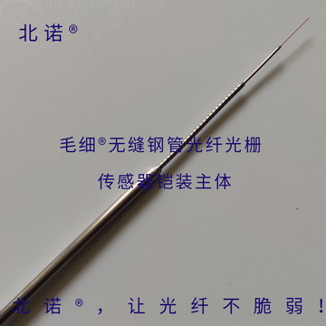 北諾?毛細(xì)?無縫鋼管光纖光柵傳感器本體