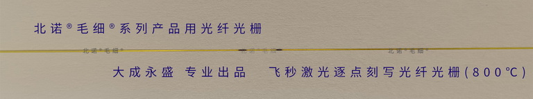 北諾?毛細?無縫鋼管光纖光柵傳感器所用飛秒光纖光柵