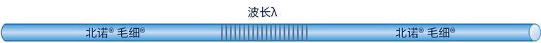 北諾?毛細?用 布拉格光纖光柵傳感示意圖
