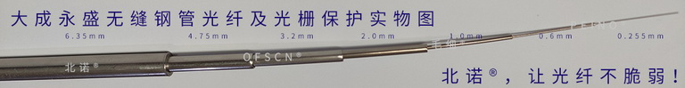 北諾?毛細(xì)?無縫鋼管光纖光柵傳感器封裝